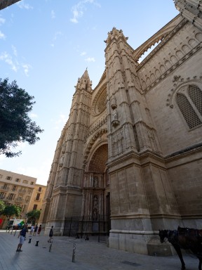 B0002574.jpg
