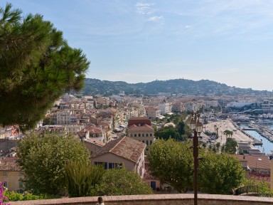 B0002653.jpg