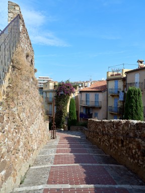 B0002665.jpg