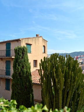 B0002667.jpg