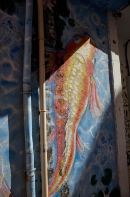 L1000408.jpg