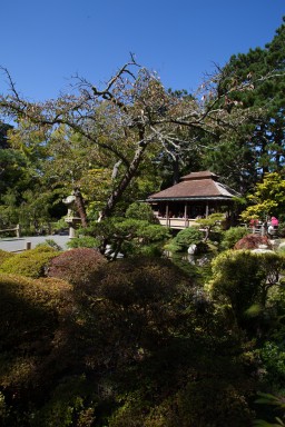 IMG_7146.jpg