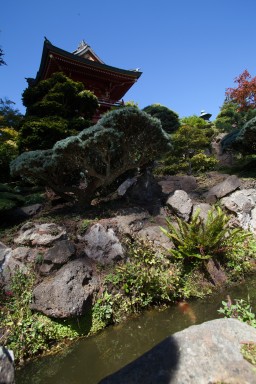 IMG_7174.jpg