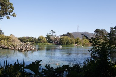 IMG_7306.jpg