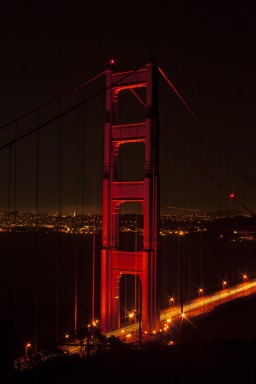 IMG_7481.jpg