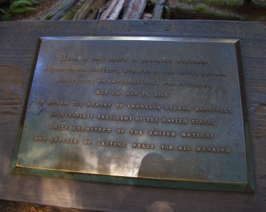 Muir_Woods2.jpg